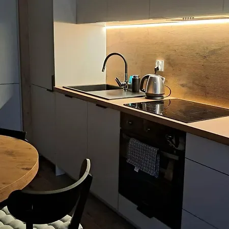 Drwecka Z Indywidualnym Garazem Ostróda