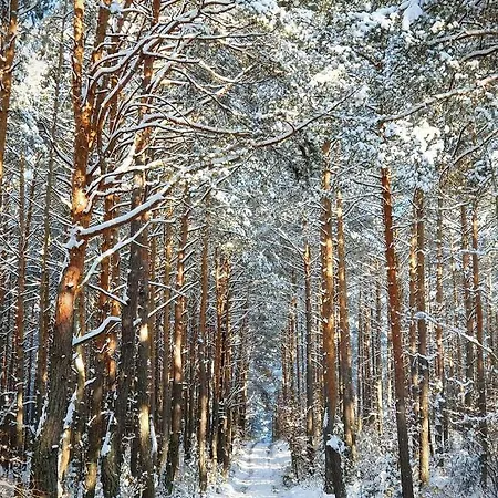 Drwecka Z Indywidualnym Garazem Apartamento