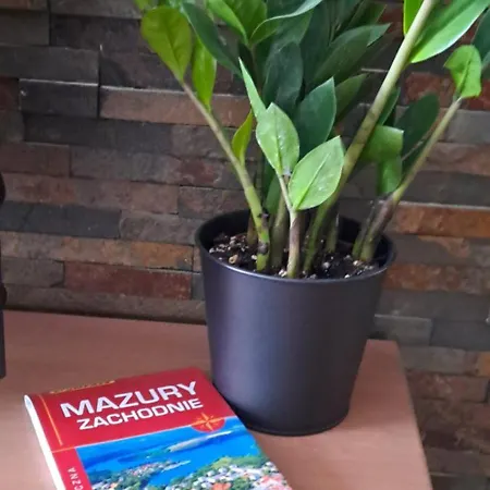 Apartament Drwecka Z Indywidualnym Garazem *