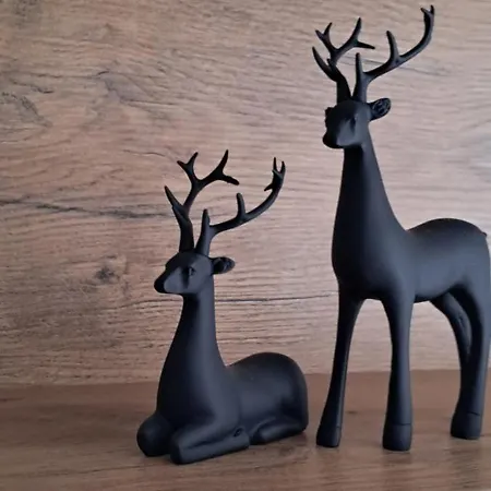 Apartamento Drwecka Z Indywidualnym Garazem