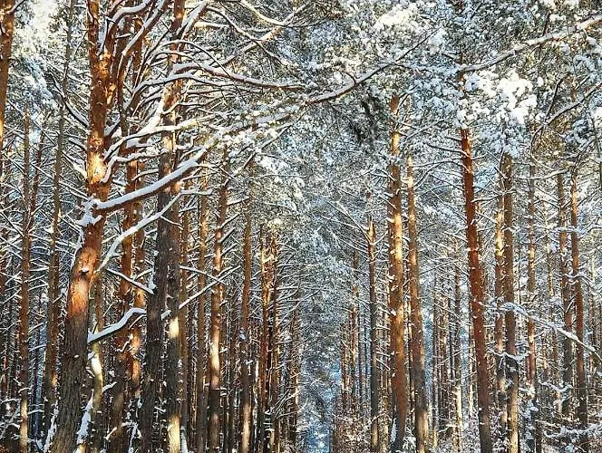 Drwecka Z Indywidualnym Garazem Apartmán
