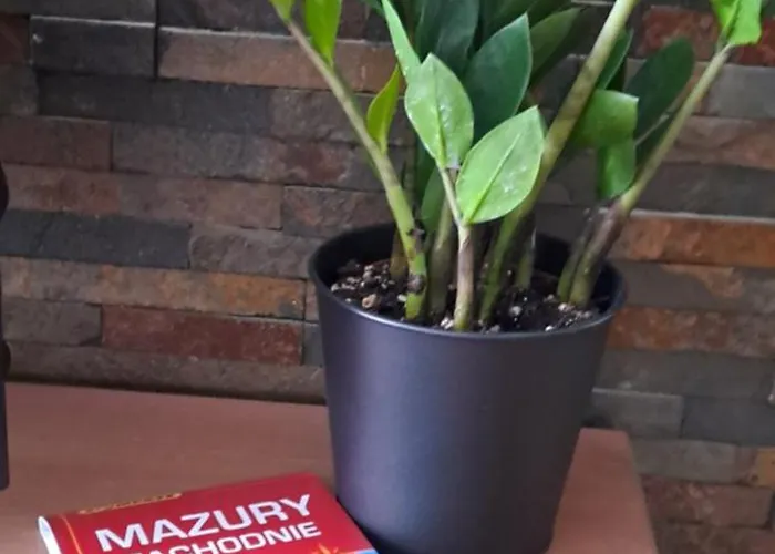 Apartmán Drwecka Z Indywidualnym Garazem *